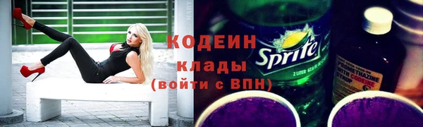 крисы Верхний Тагил