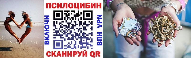 Галлюциногенные грибы Psilocybe  купить   блэк спрут вход  Вуктыл 
